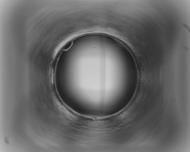 X0000099511510200805151447