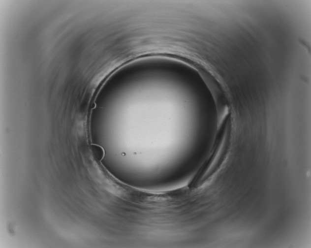 X0000099511513200805151447