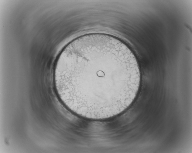 X0000099511514200805151447