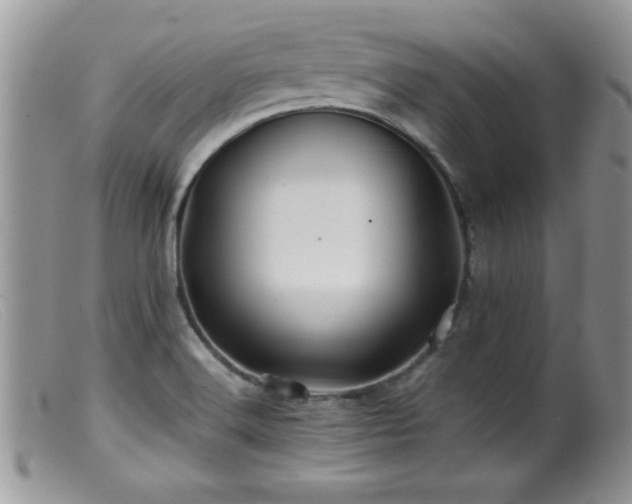 X0000099511516200805151447