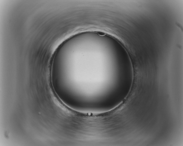 X0000099511518200805151447