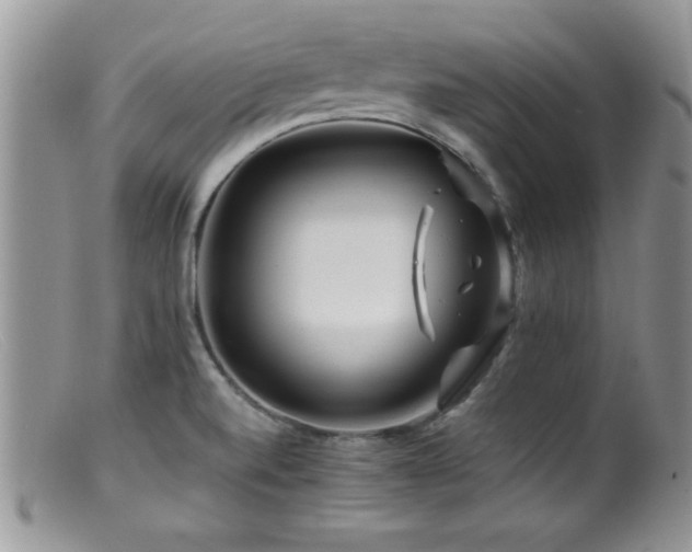 X0000099511520200805151447
