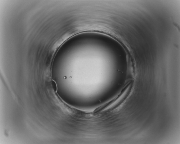 X0000099511521200805151447