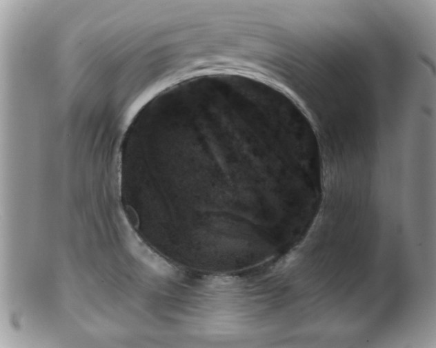 X0000099511522200805151447
