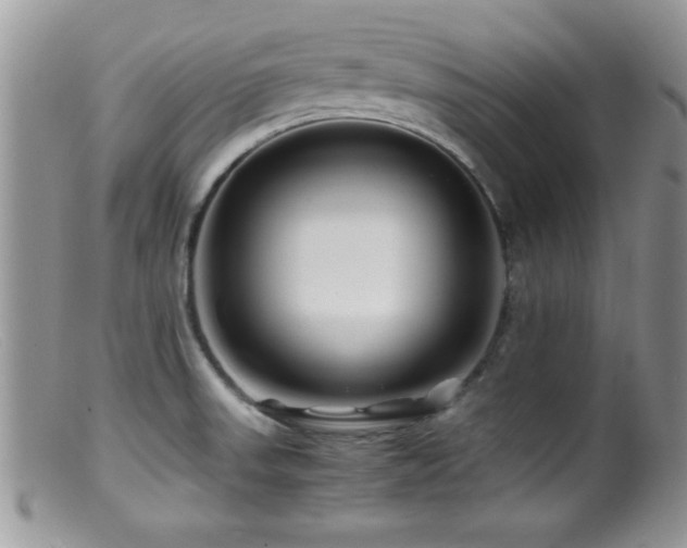 X0000099511523200805151447