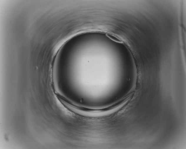 X0000099511524200805151447