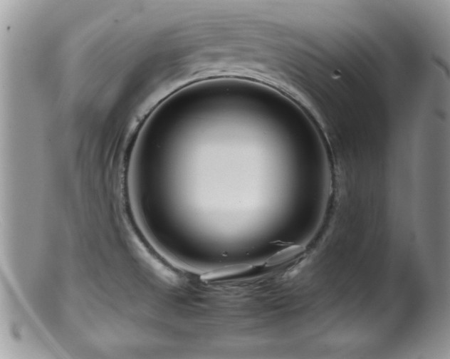 X0000099511525200805151447