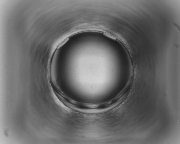 X0000099511528200805151447
