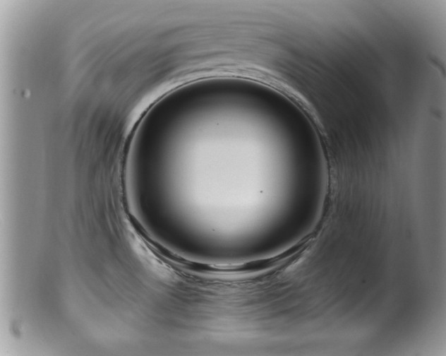X0000099511530200805151447