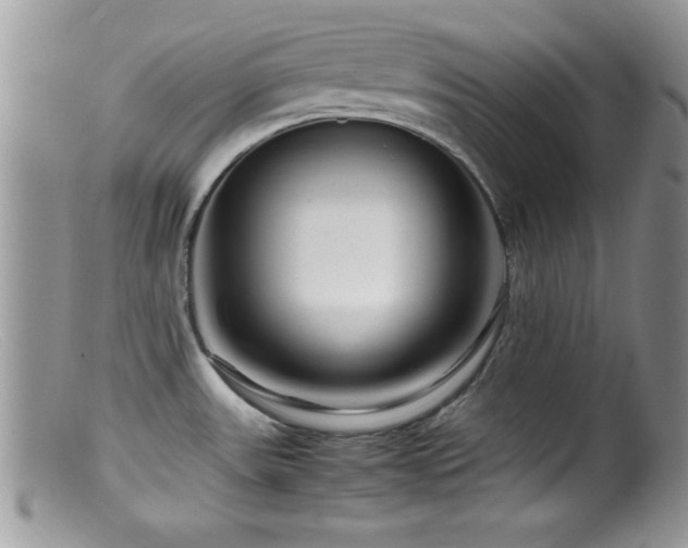 X0000099511531200805151447