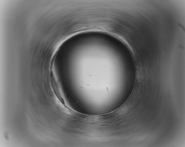 X0000099511532200805151447