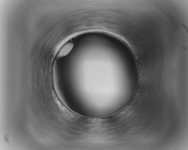X0000099511534200805151447