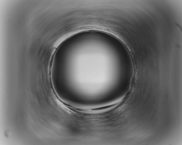X0000099511535200805151447