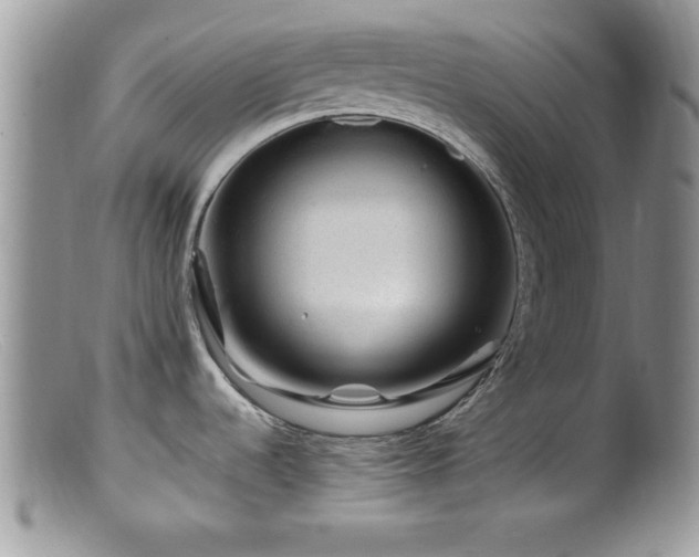 X0000099511536200805151448