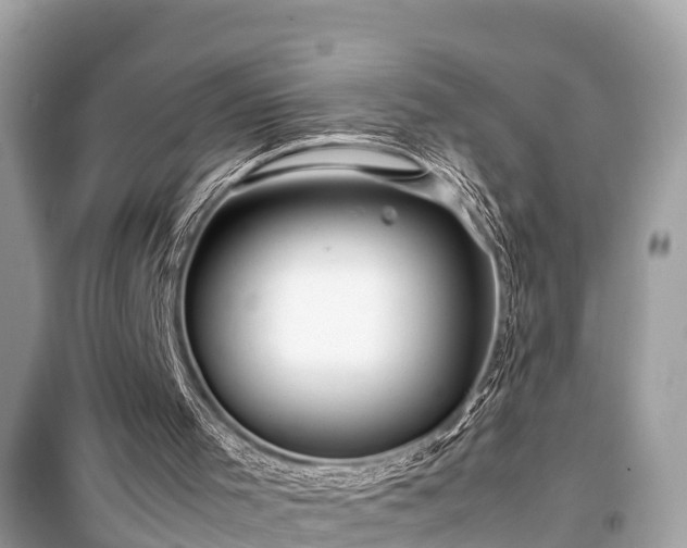 X0000099510001200805221432