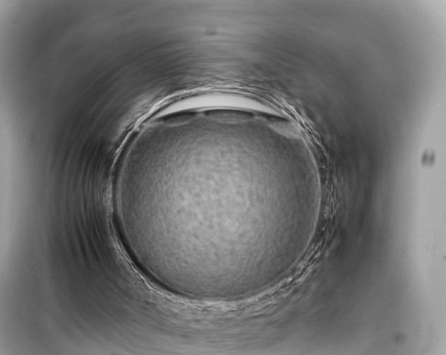 X0000099510002200805221432
