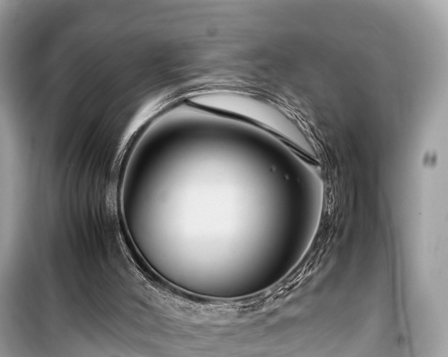 X0000099510004200805221432