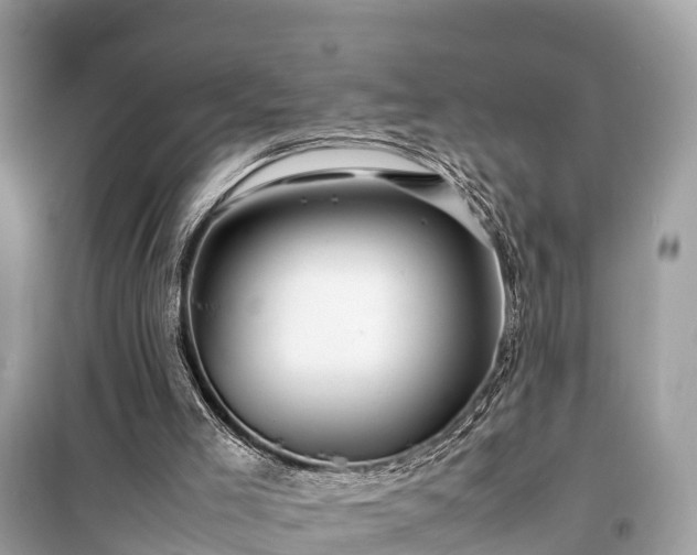 X0000099510005200805221432