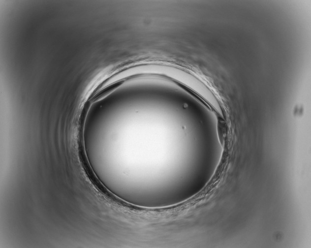 X0000099510007200805221432
