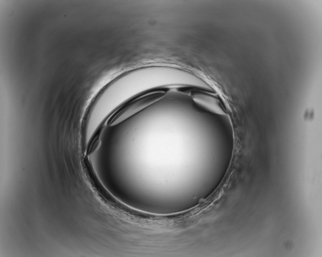 X0000099510008200805221432