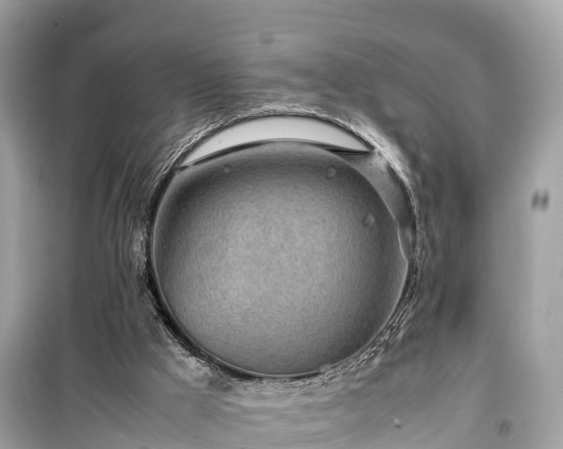 X0000099510009200805221432