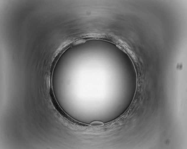 X0000099510011200805221432
