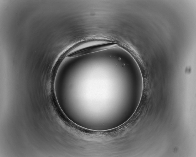 X0000099510012200805221432