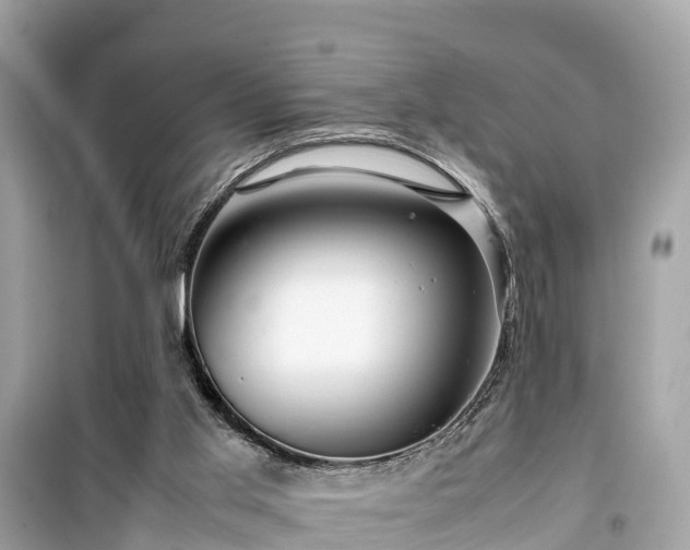 X0000099510013200805221432