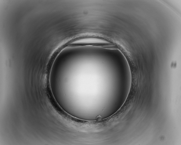 X0000099510016200805221432