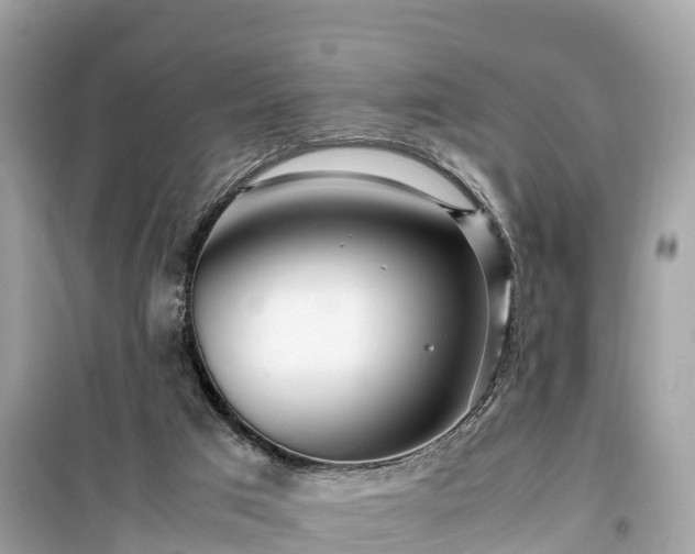 X0000099510017200805221432
