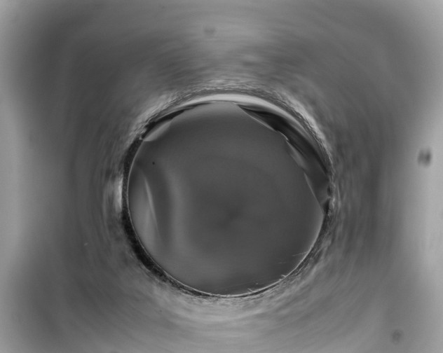 X0000099510019200805221432