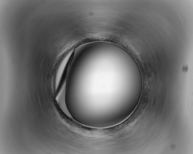 X0000099510020200805221432