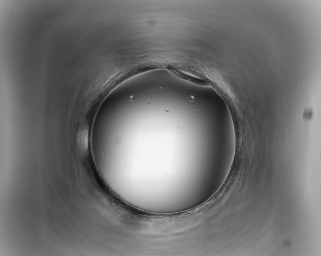 X0000099510021200805221432