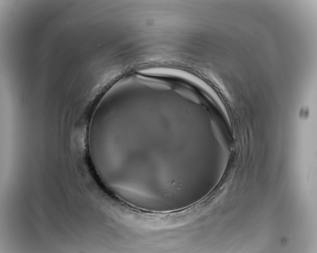 X0000099510023200805221432