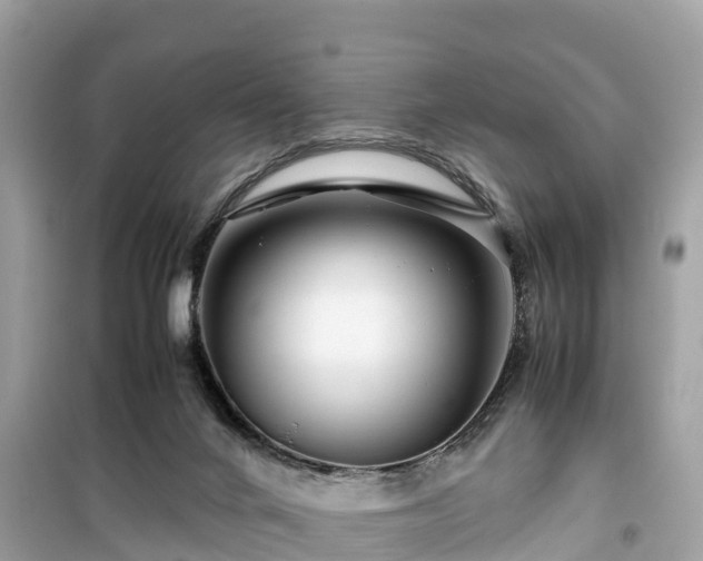 X0000099510024200805221432