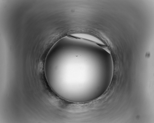 X0000099510025200805221432