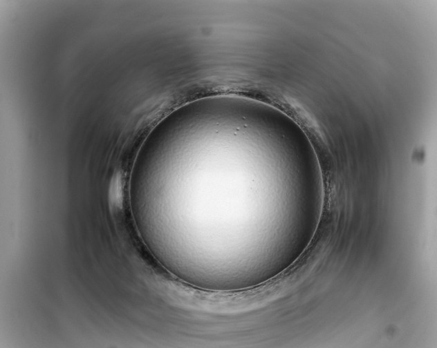 X0000099510026200805221432