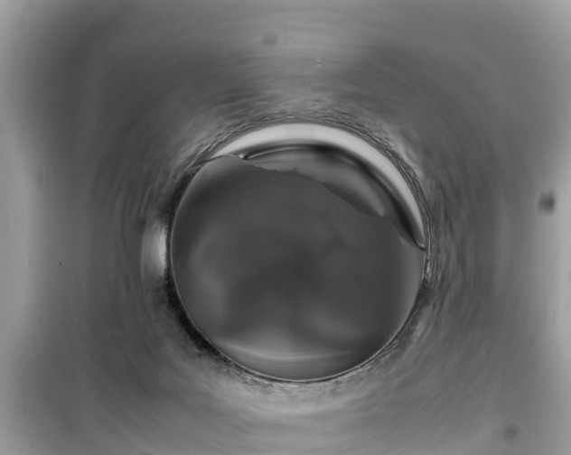 X0000099510027200805221432