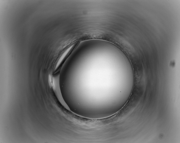 X0000099510028200805221432