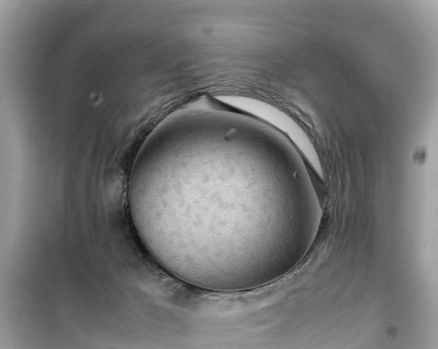 X0000099510029200805221432