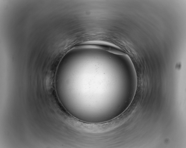 X0000099510030200805221432