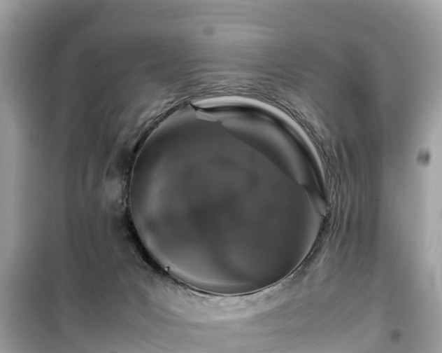 X0000099510031200805221432