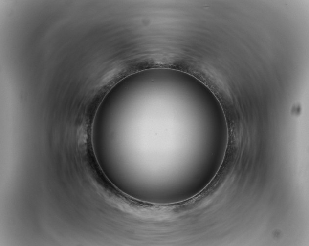 X0000099510032200805221432