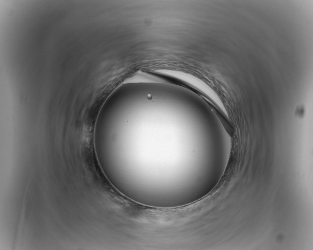 X0000099510033200805221432