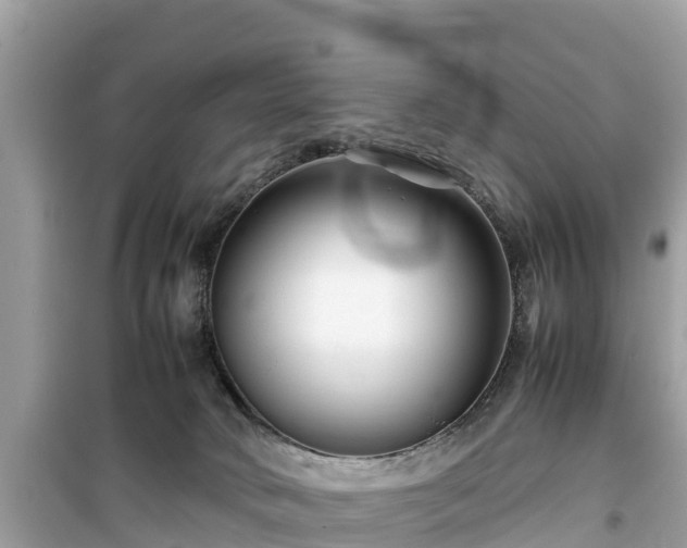 X0000099510034200805221432
