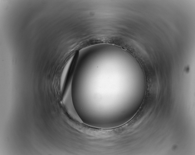 X0000099510036200805221432