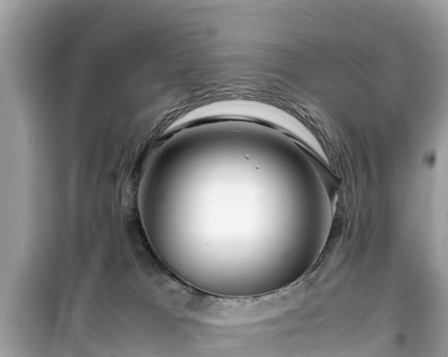 X0000099510037200805221432