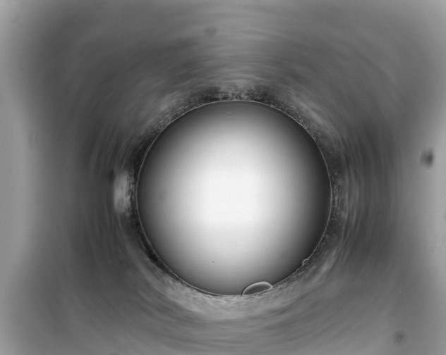 X0000099510038200805221432