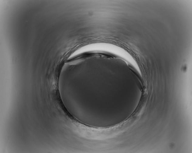 X0000099510039200805221432