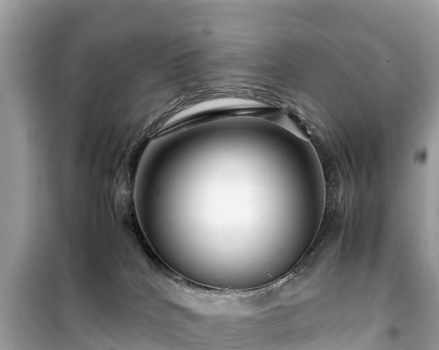 X0000099510040200805221432
